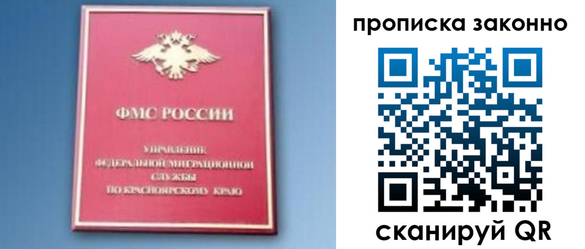 прописка законно в Александровске