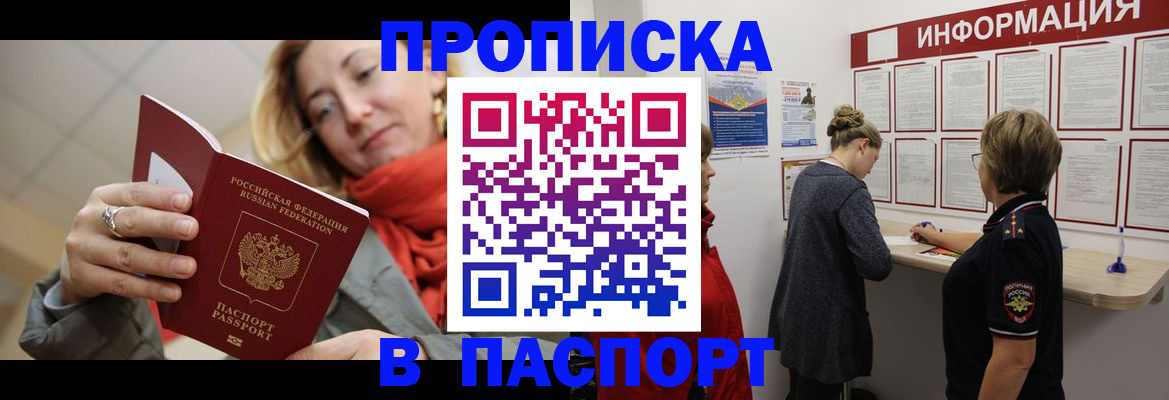 прописка поиск в Александровске